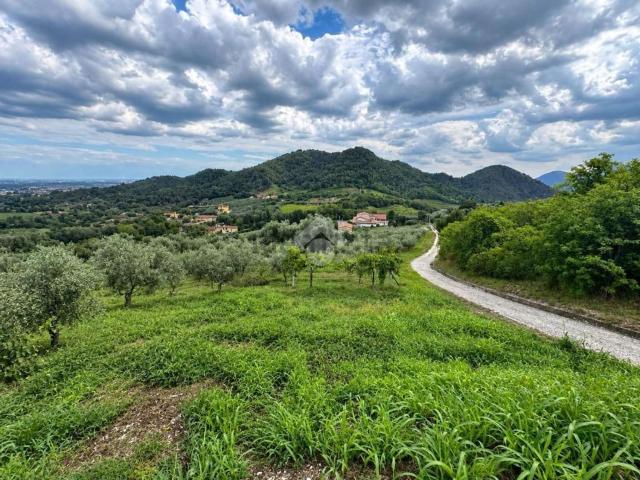 Terreno in vendita a Turri, Montegrotto Terme