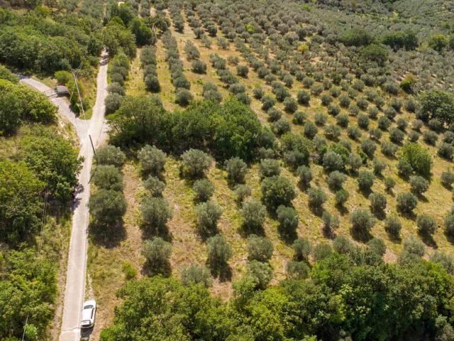Terreno in vendita a Casali di Poggio Nativo, Poggio Nativo