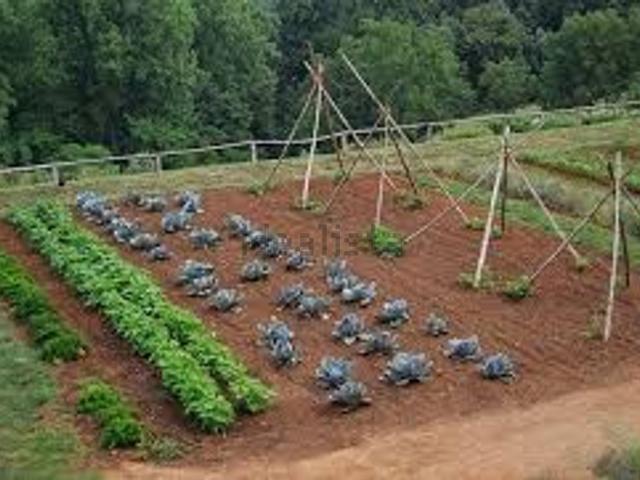 Terreno in vendita a Poggi Rubicone, Ravenna
