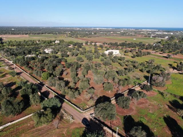 Terreno in vendita a Puglia, Brindisi