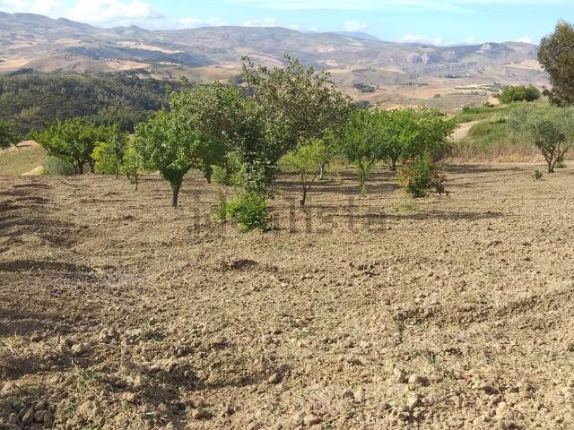 Terreno in vendita a San Cataldo, Sicilia