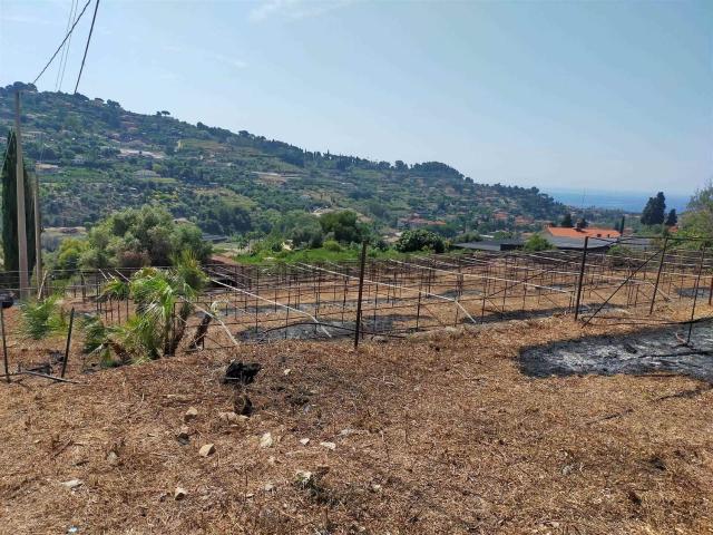 Terreno in vendita a Bordighera, Liguria