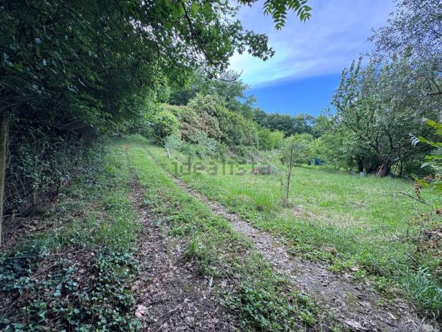 Terreno in vendita a Lecchi, Toscana