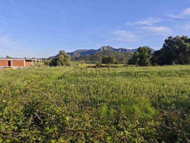 Terreno in vendita a Cardedu, Sardigna/Sardegna