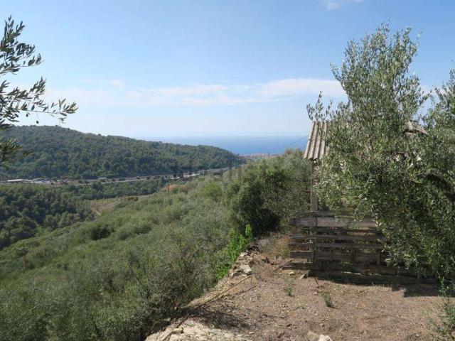 Terreno in vendita a San Bartolomeo Al Mare, Liguria