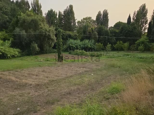 Terreno in vendita a Montefiascone, Lazio