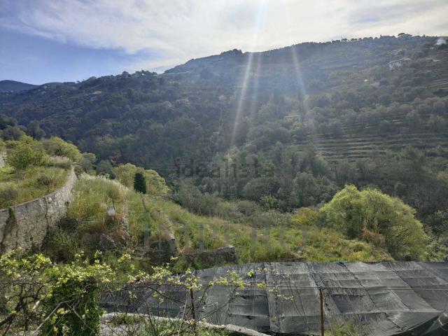 Terreno in vendita a Ventimiglia, Liguria