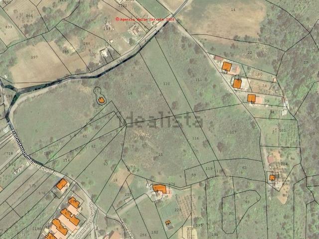 Terreno in vendita a Calabria, Cosenza