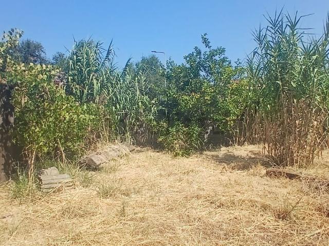 Terreno in vendita a Calabria, Reggio Calabria