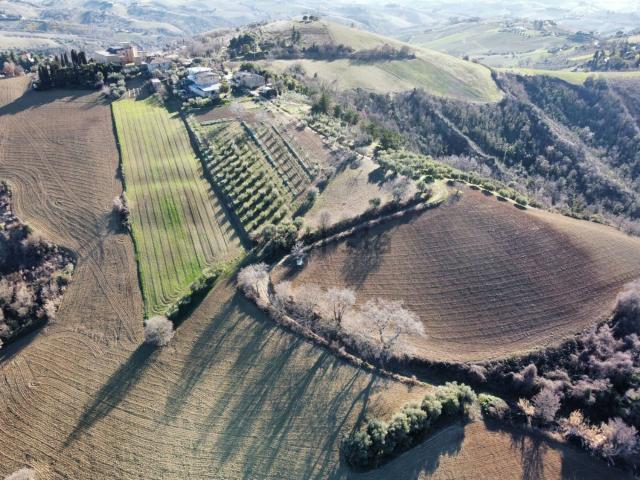 Terreno in vendita a Marche, Ascoli Piceno