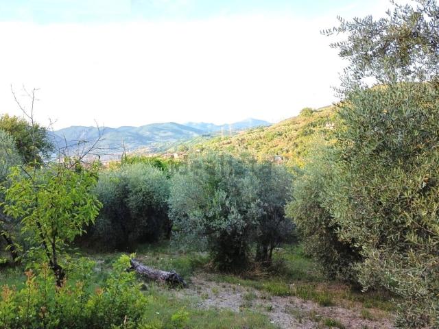 Terreno in vendita a Campomicciolo, Terni
