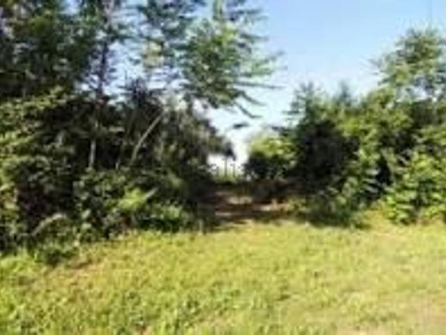Terreno in vendita a Scafa, Abruzzo