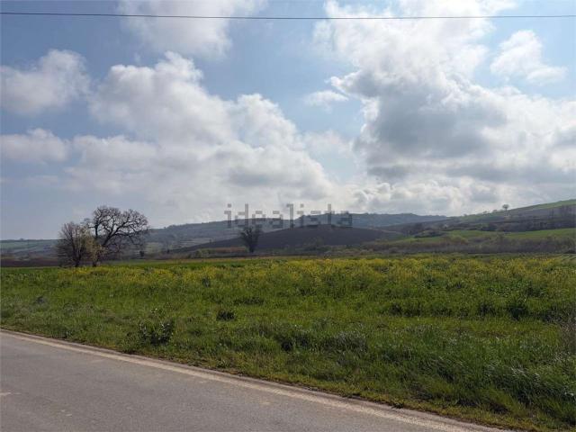 Terreno in vendita a Termoli, Molise