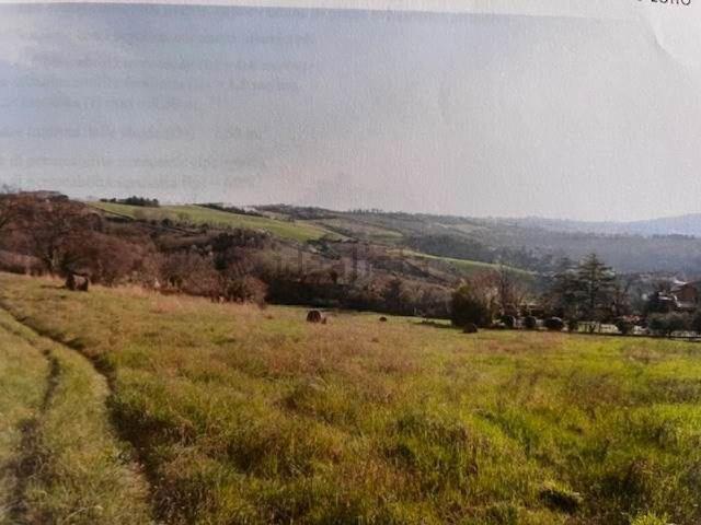 Terreno in vendita a Marche, Ancona