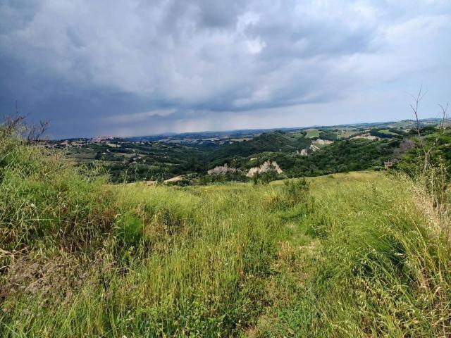 Terreno in vendita a Marche, Fermo