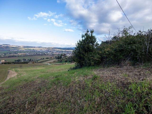 Terreno in vendita a Marche, Ancona