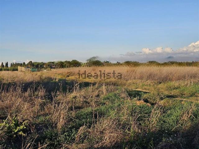 Terreno in vendita a Cecina, Toscana