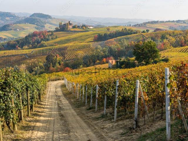 Terreno in vendita a Piemonte, Cuneo