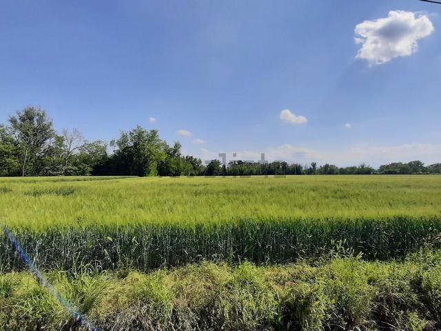 Terreno in vendita a San Giorgio Piacentino, Reggio Emilia