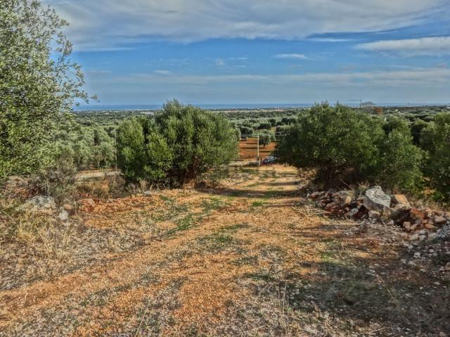 Terreno in vendita a Puglia, Brindisi