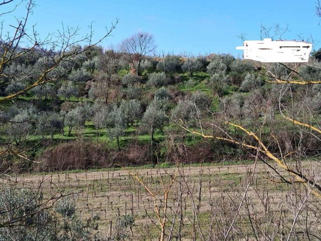 Terreno in vendita a Montepulciano, Siena