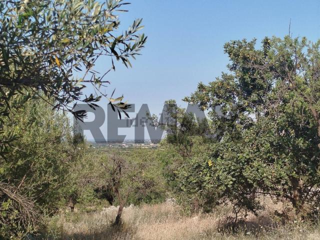 Terreno in vendita a Canicattini Bagni, Sicilia