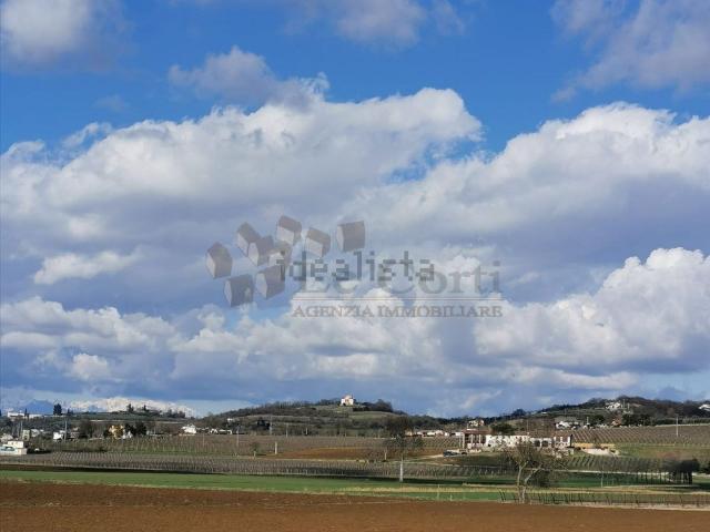 Terreno in vendita a Lonigo, Veneto