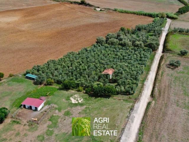 Terreno in vendita a Capodimonte, Lazio