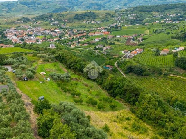 Terreno in vendita a Roncà, Veneto