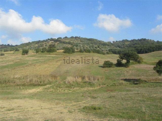 Terreno in vendita a Guglionesi, Molise