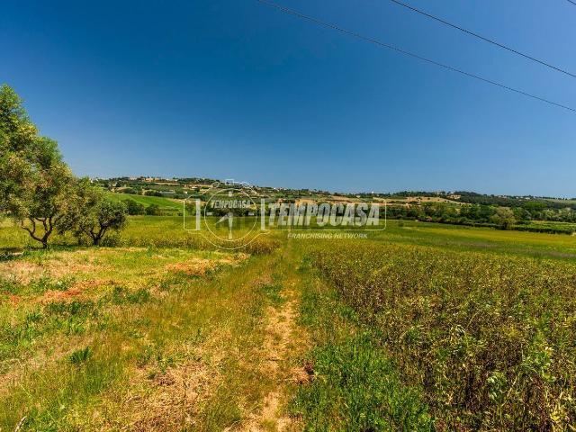 Terreno in vendita a Contrada San Savino, Marche