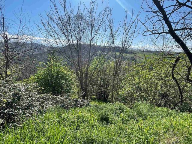 Terreno in vendita a Unione dei comuni Valli del Reno, Lavino e Samoggia, Monte San Pietro