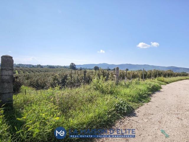 Terreno in vendita a Unione di Comuni Montani Colline del Fiora, Pitigliano