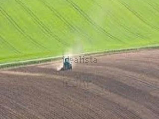 Terreno in vendita a Cavallino-Treporti, Veneto