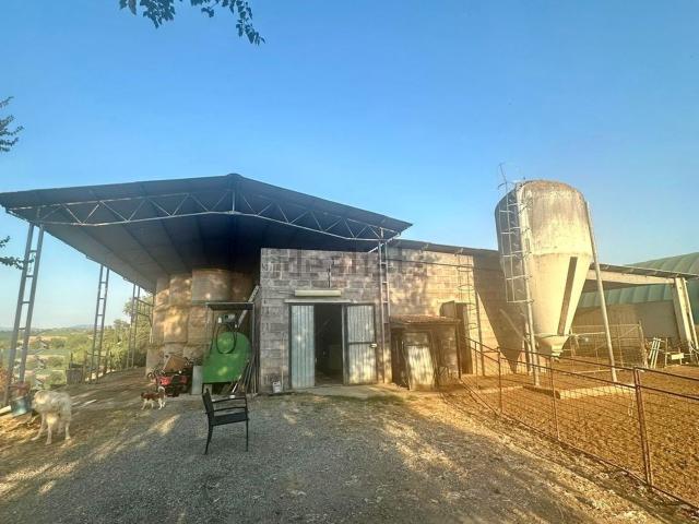 Terreno in vendita a Preselle, Scansano