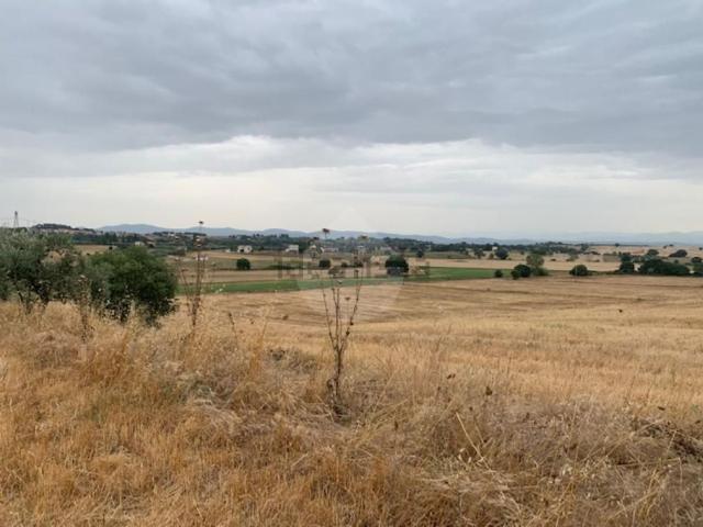 Terreno in vendita a Viterbo, Lazio