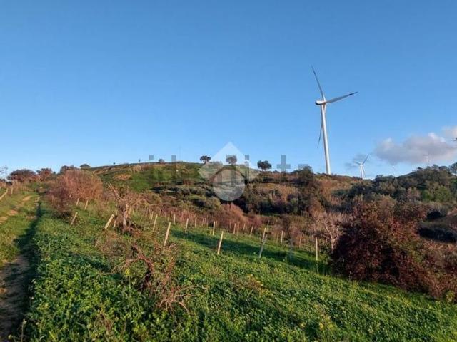 Terreno in vendita a Alcamo, Sicilia