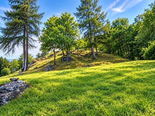 Terreno in vendita a Vert, Sarre