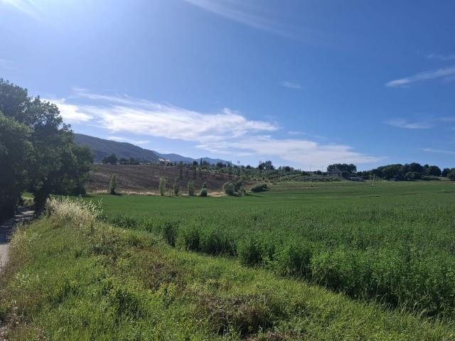 Terreno in vendita a Amelia, Umbria