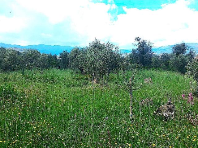 Terreno in vendita a Poggi Inferiore, Imperia