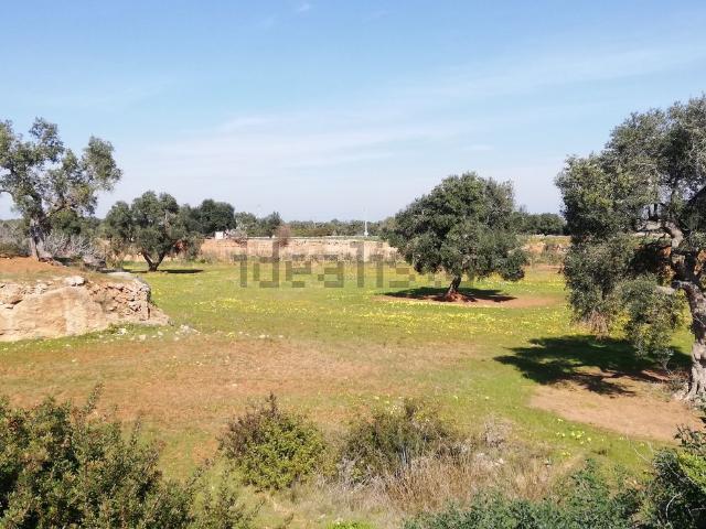 Terreno in vendita a Puglia, Brindisi