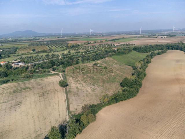 Terreno in vendita a Montebello, Tuscania