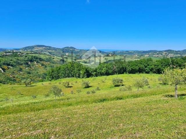 Terreno in vendita a Marche, Pesaro E Urbino