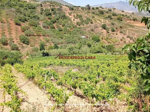 Terreno in vendita a Alcamo, Sicilia