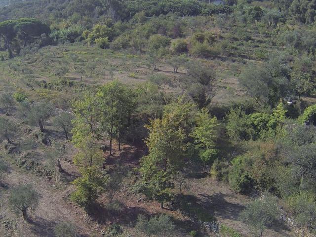 Terreno in vendita a Poggi Inferiore, Imperia