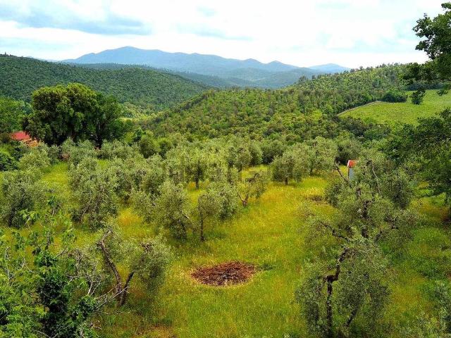 Terreno in vendita a Roccastrada, Toscana