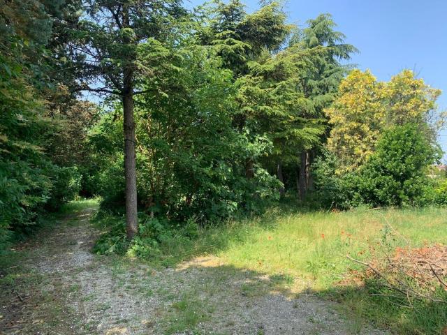 Terreno in vendita a Madonna dell'Albero, Ravenna