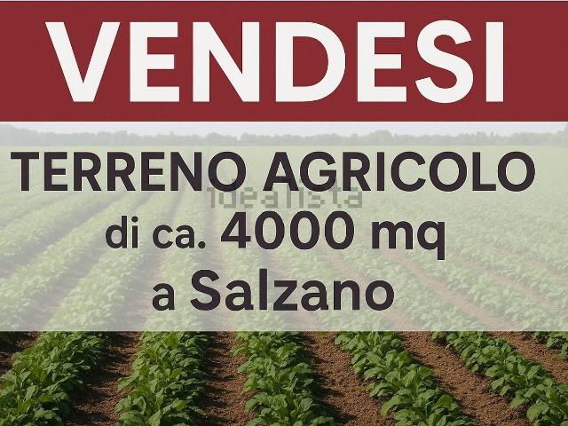 Terreno in vendita a Salzano, Veneto