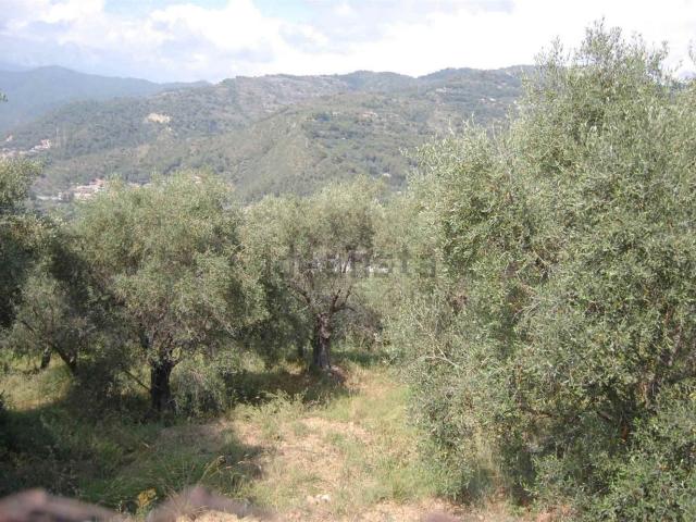 Terreno in vendita a Bevera, Ventimiglia