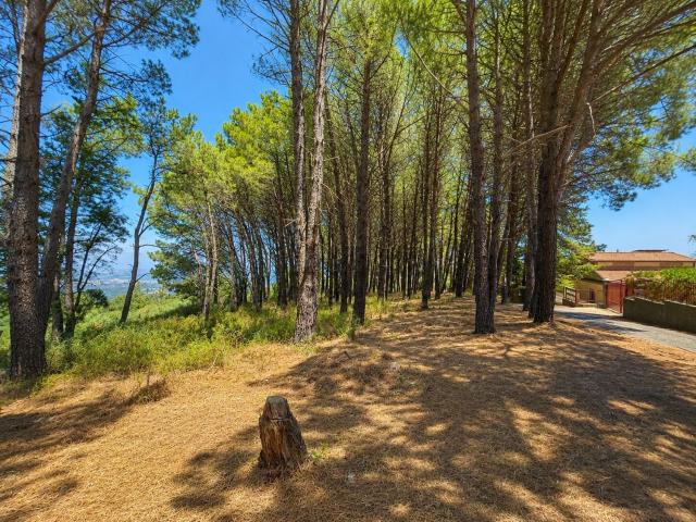 Terreno in vendita a Corigliano-Rossano, Calabria